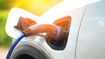 iStock-1317950392_bearb